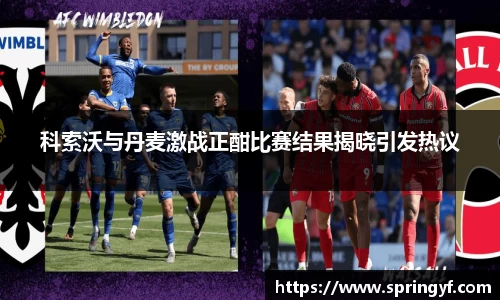 科索沃与丹麦激战正酣比赛结果揭晓引发热议